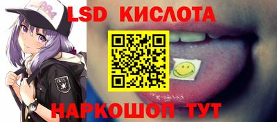 амф Камышлов
