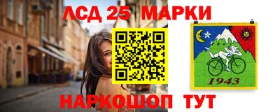 винт Кандалакша