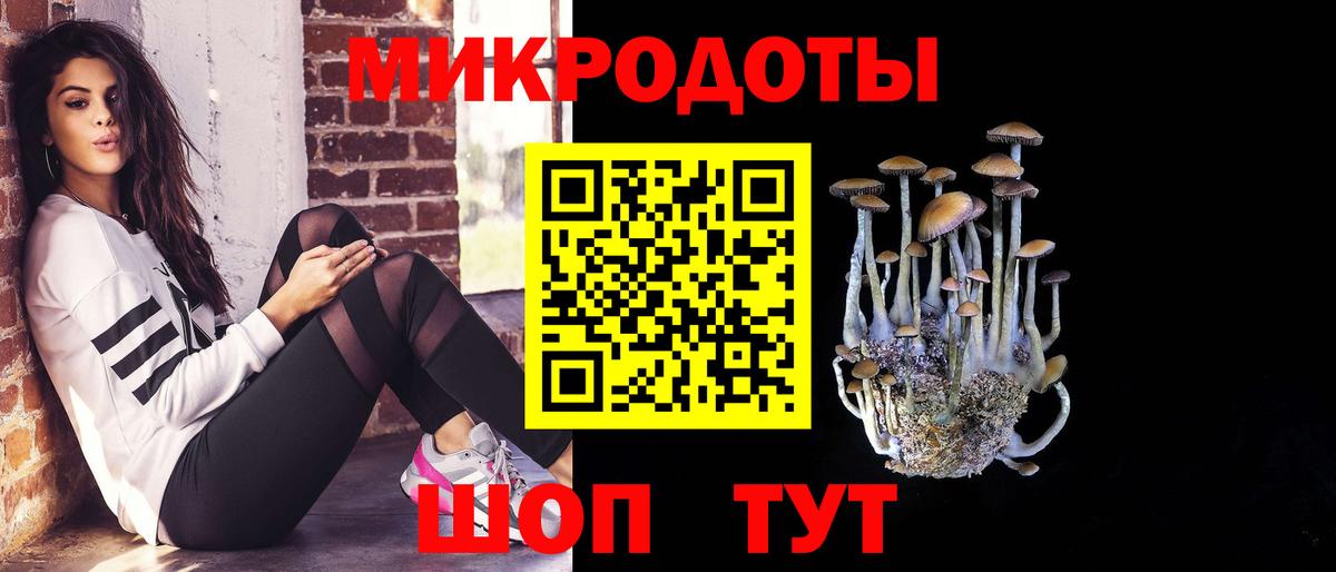 где найти наркотики  Галлюциногенные грибы GOLDEN TEACHER  Вход с VPN  Лесозаводск 
